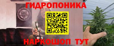 spice Ярославль