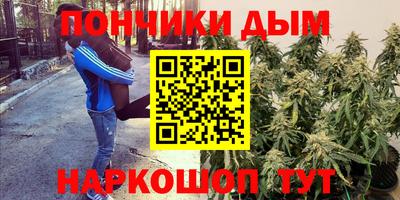 spice Ярославль
