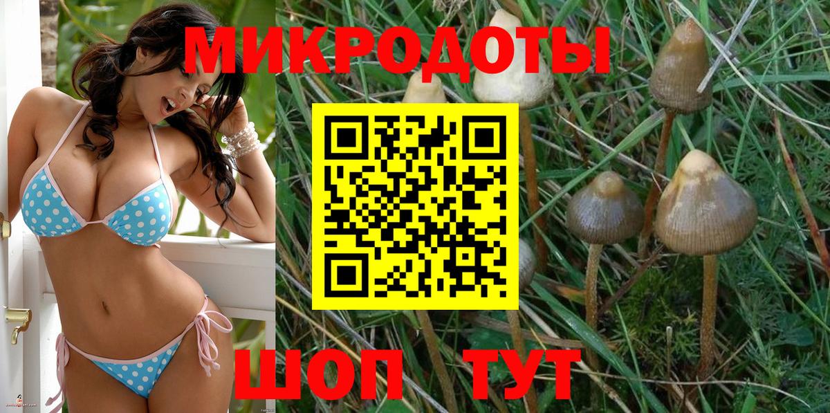 Псилоцибиновые грибы Magic Shrooms Кумертау